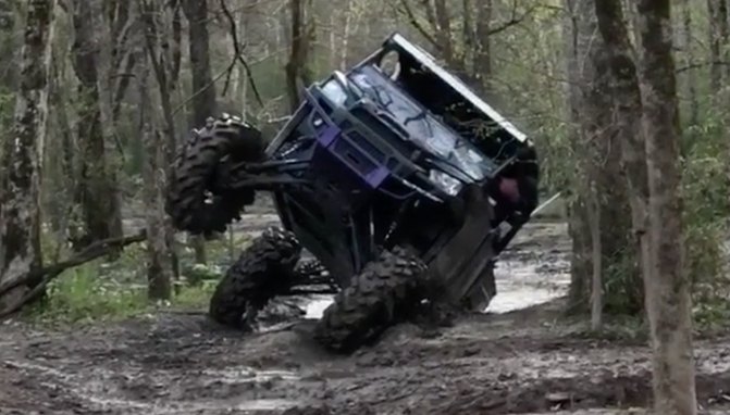 How’s This For a “Flex” Friday + Video